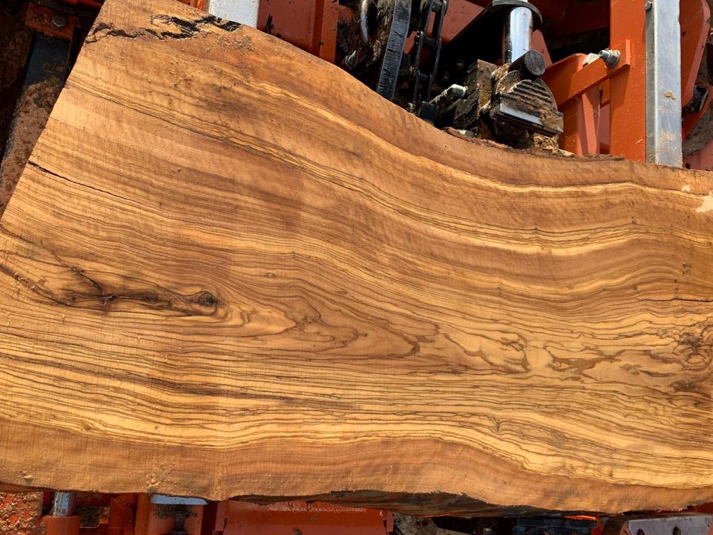 Olive wood